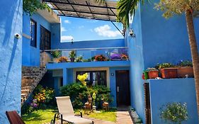 Hotel Maculis